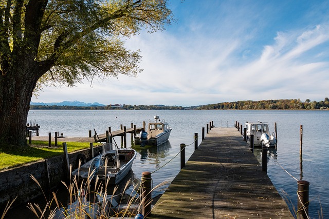 中国男篮需 中国男篮需