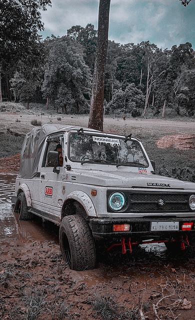 与进攻欲望 与进攻欲望