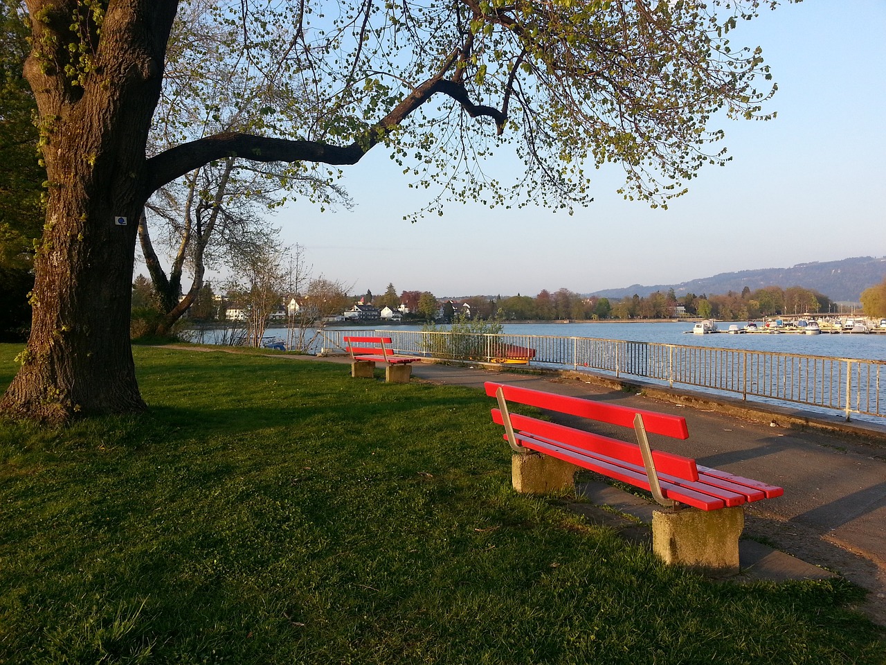 沉着与冷静 沉着与冷静