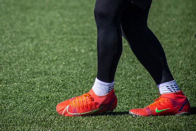 而这些要素 而这些要素