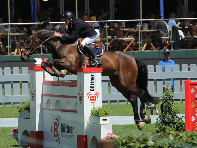 优化参赛方 优化参赛方