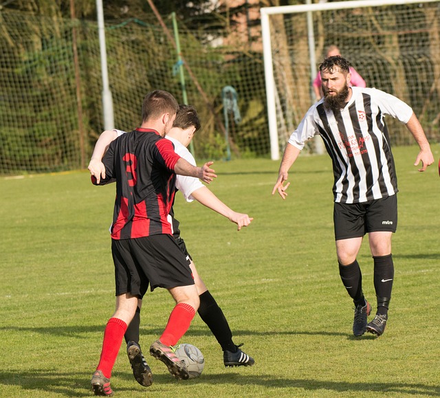 治力与影响 治力与影响