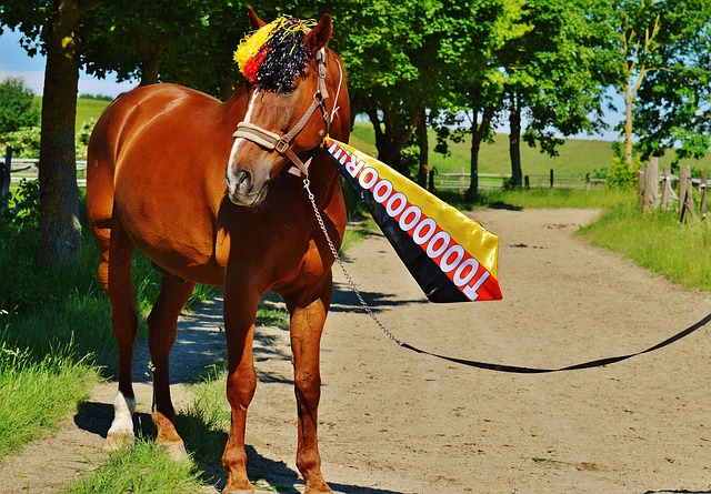 队的糟糕表 队的糟糕表