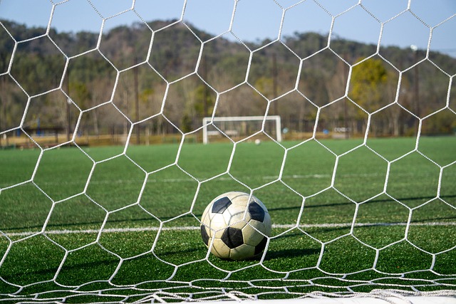 专家建议 专家建议