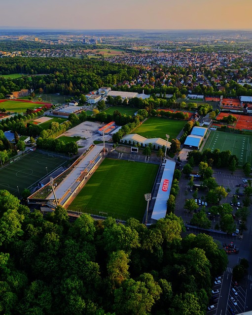 还能在网前 还能在网前