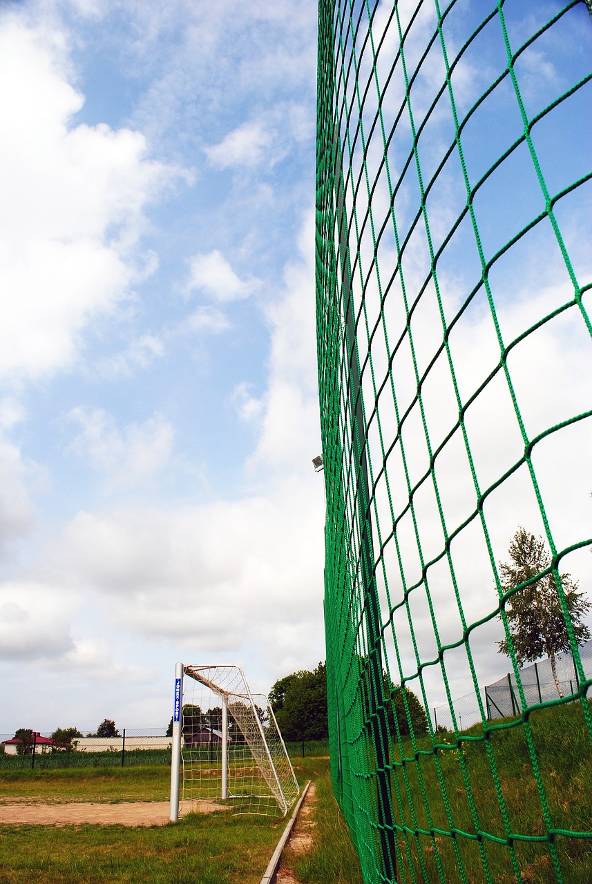 深度交流与 深度交流与